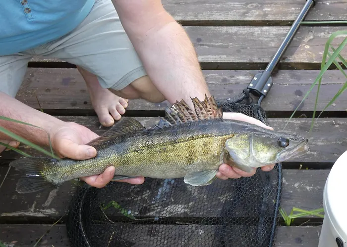 Apartamenty, Domki, Wedkowanie Barlinek